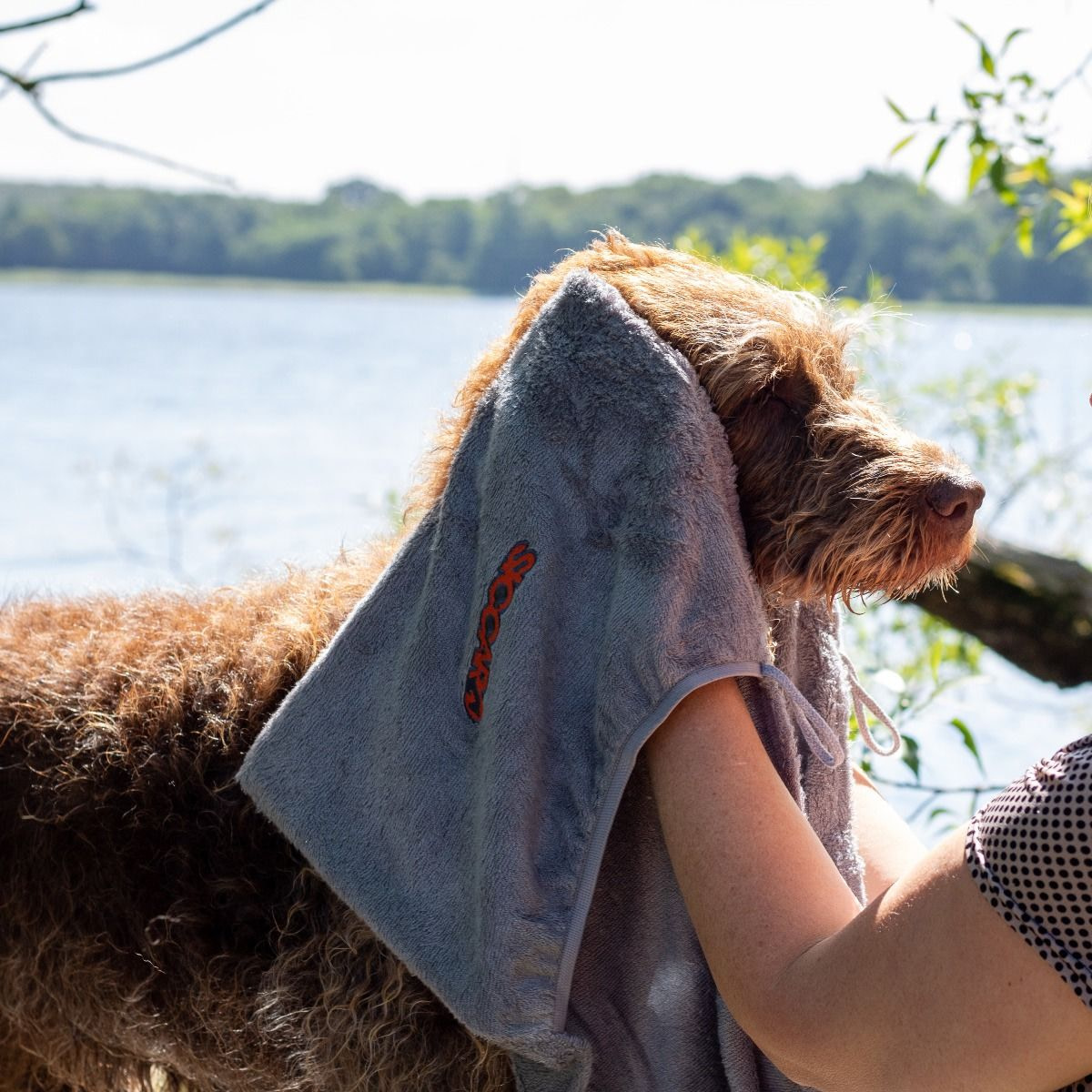 EasyDry Dog Towel – Trockentuch für Hunde