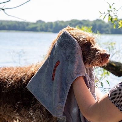 Siccaro - EasyDry Dog Towel - Trockentuch für Hunde