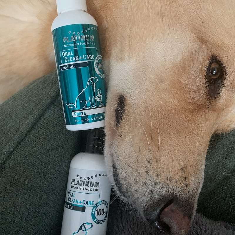 Oral Clean Care Summer 1 Pepper Paws Pepper Paws